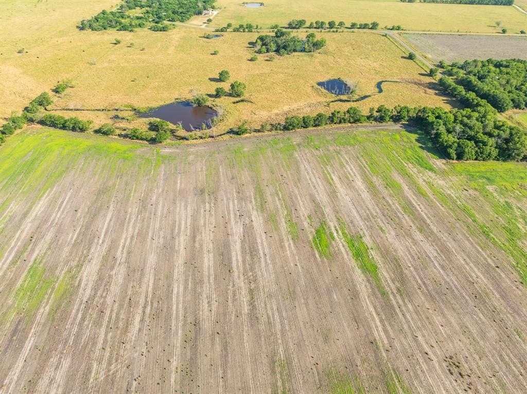 368.3 acres in Limestone County - photo 19