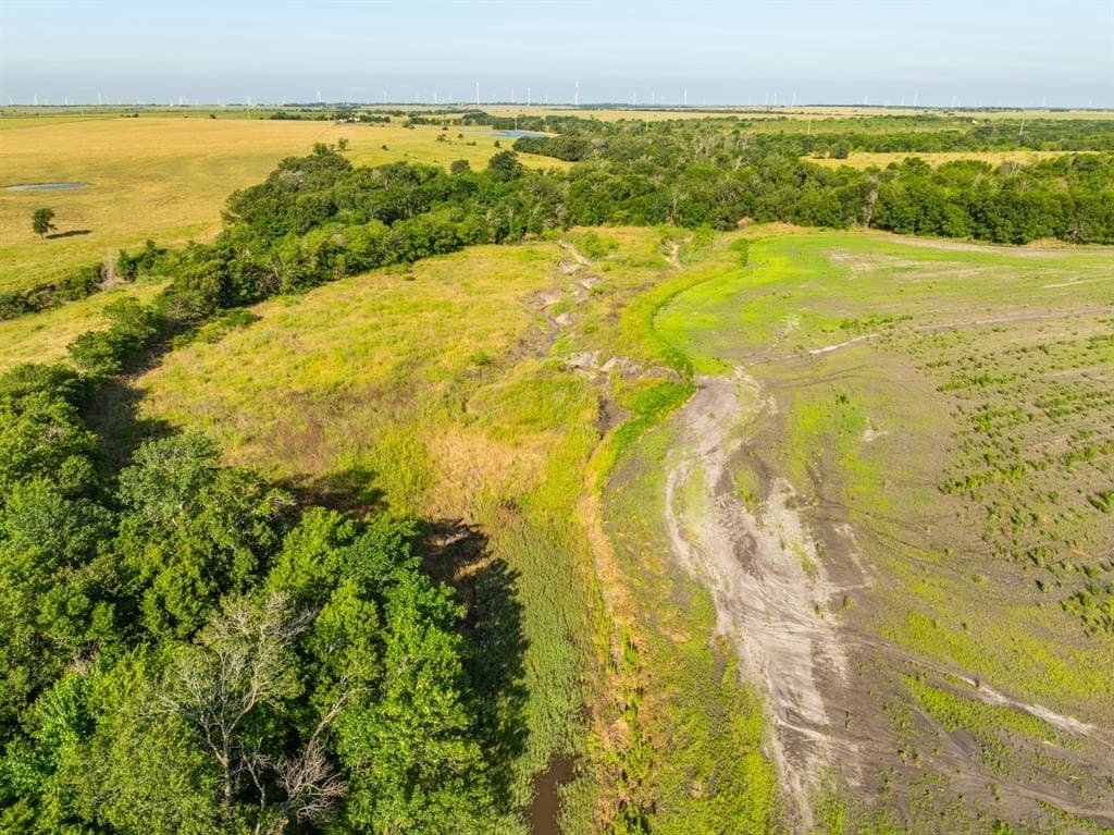 368.3 acres in Limestone County - photo 5