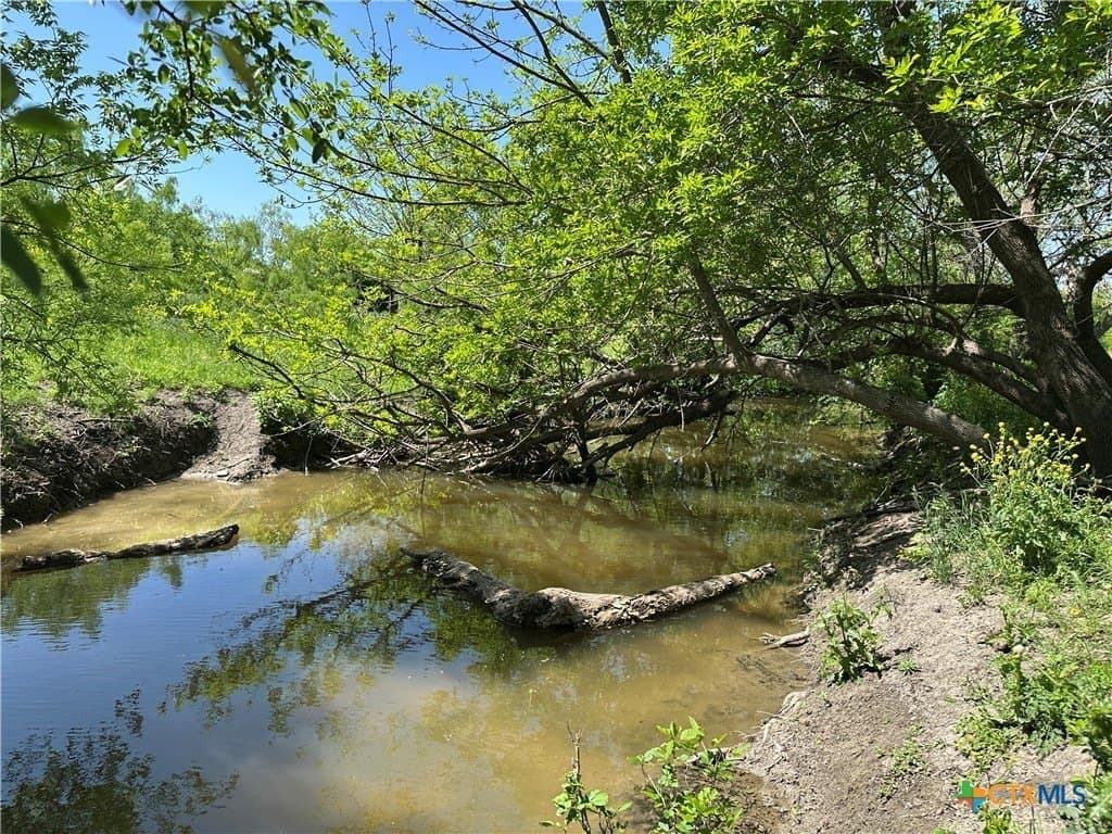 64.08 acres in Bell County - photo 5