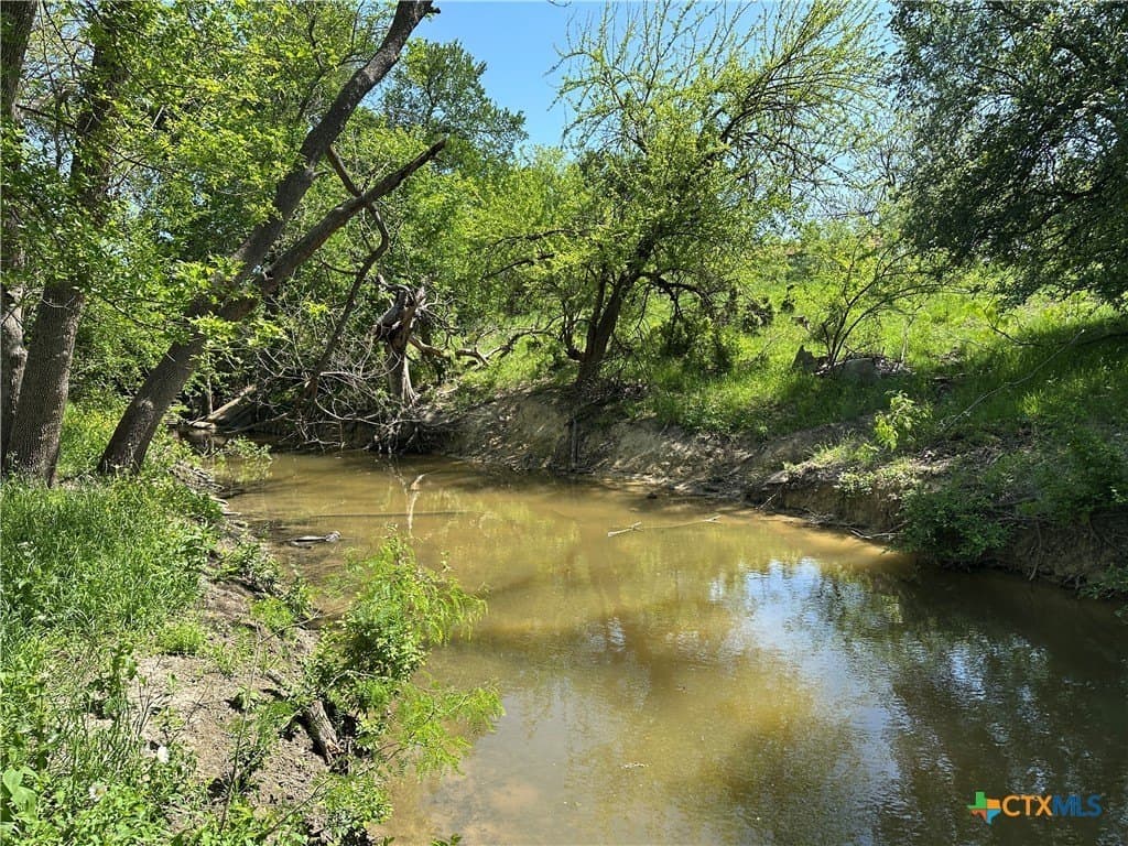 64.08 acres in Bell County - photo 4