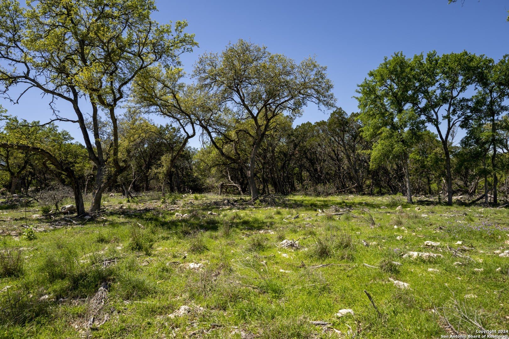 2.72 acres in Kendall County - photo 7