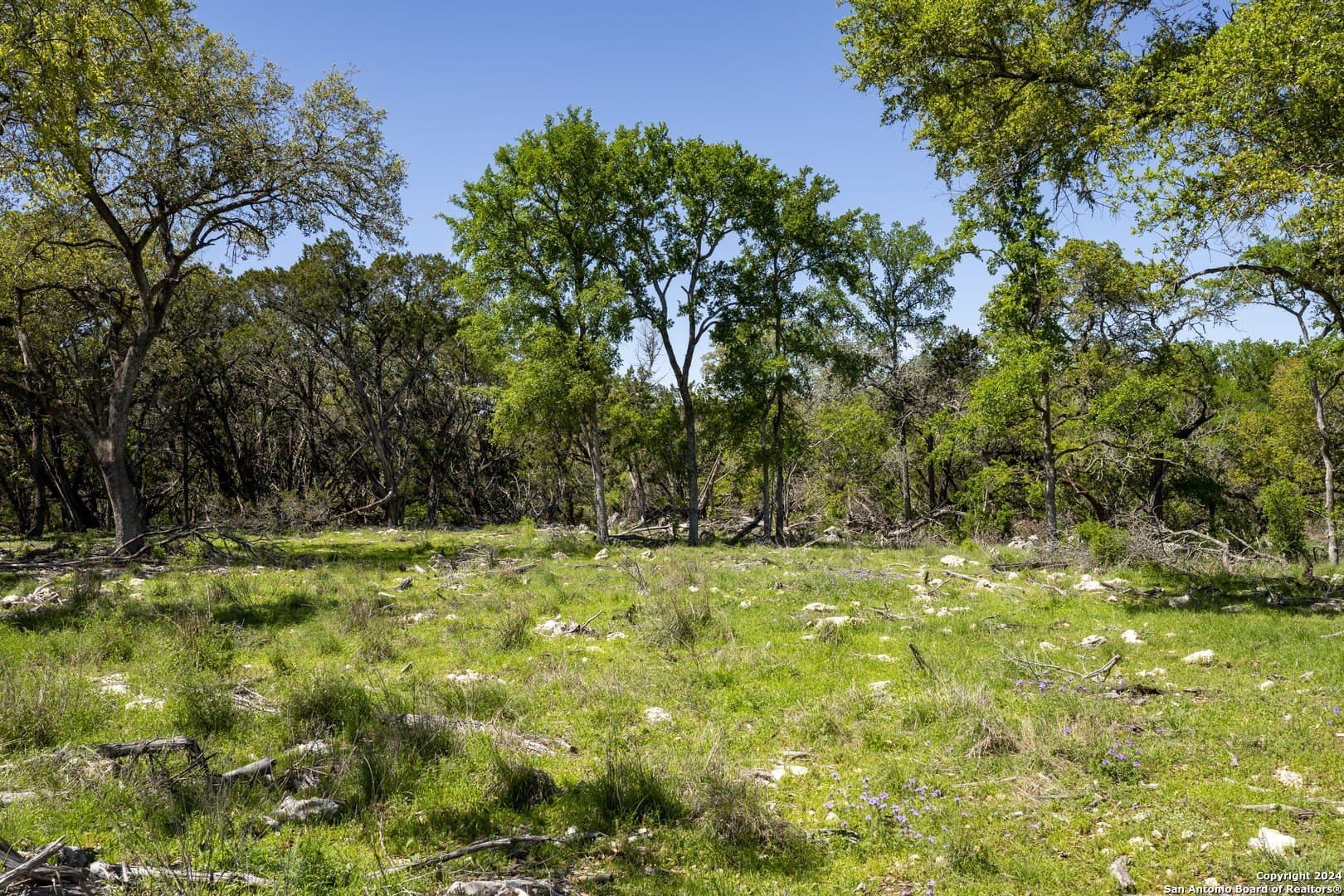 2.72 acres in Kendall County - photo 6