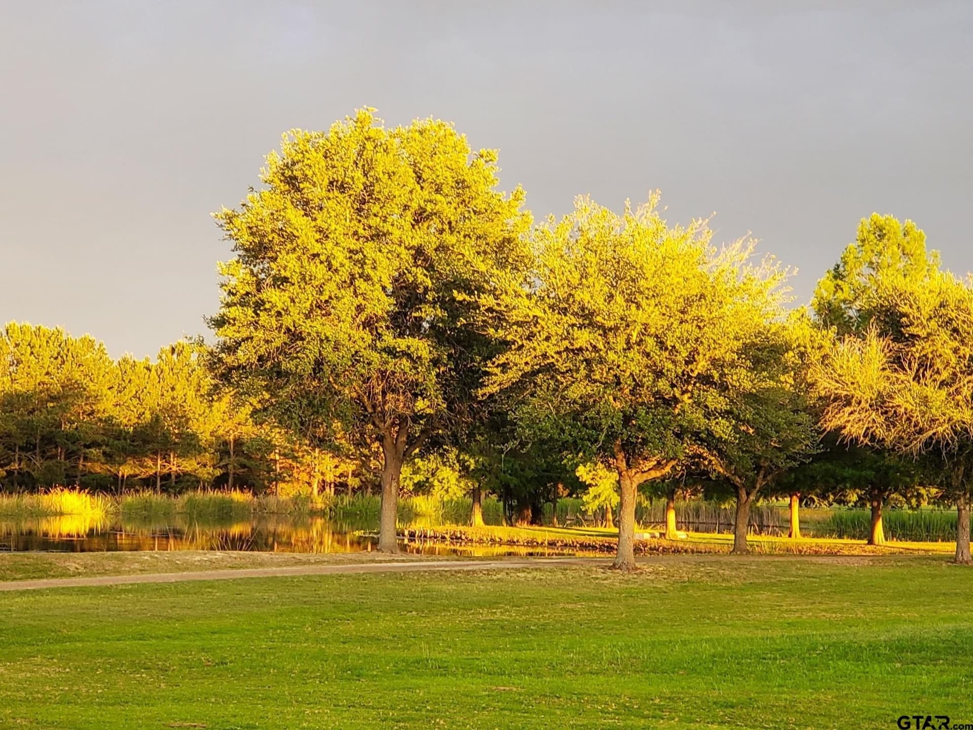 23.8 acres in Van Zandt County - photo 5