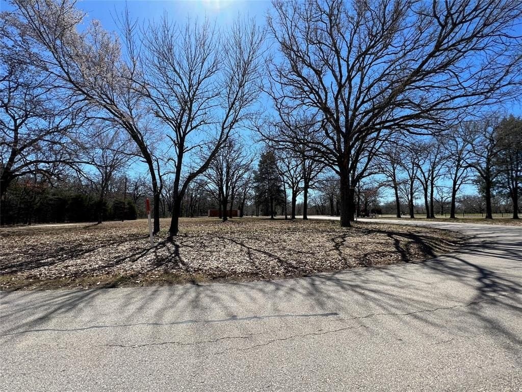 0.2 acres in Henderson County - photo 22