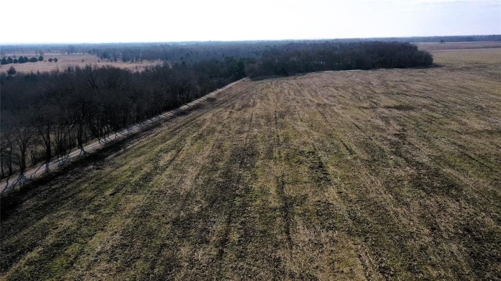 34 acres in Fannin County - photo 13