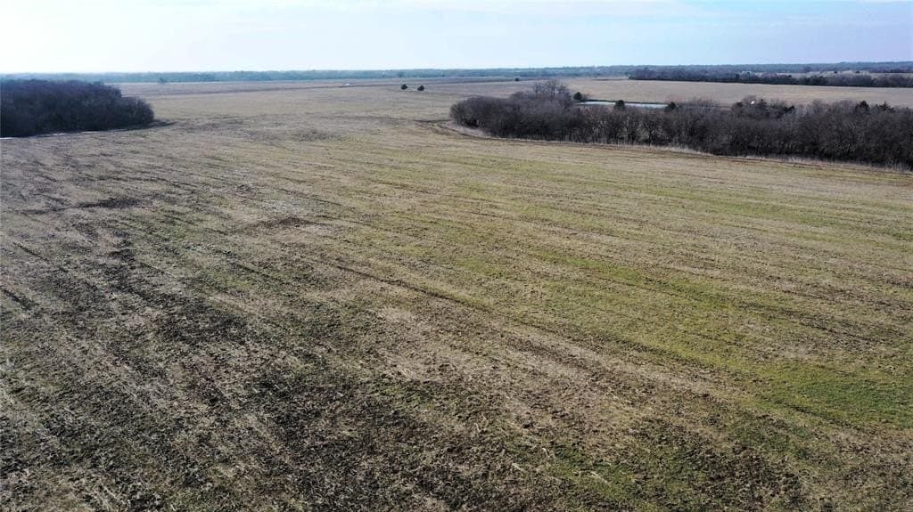 34 acres in Fannin County - photo 12
