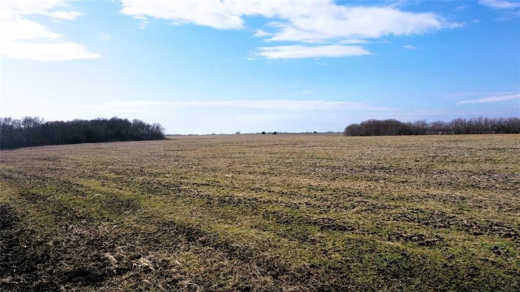 34 acres in Fannin County - photo 17