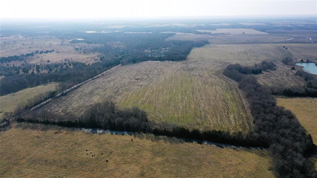 34 acres in Fannin County - photo 2