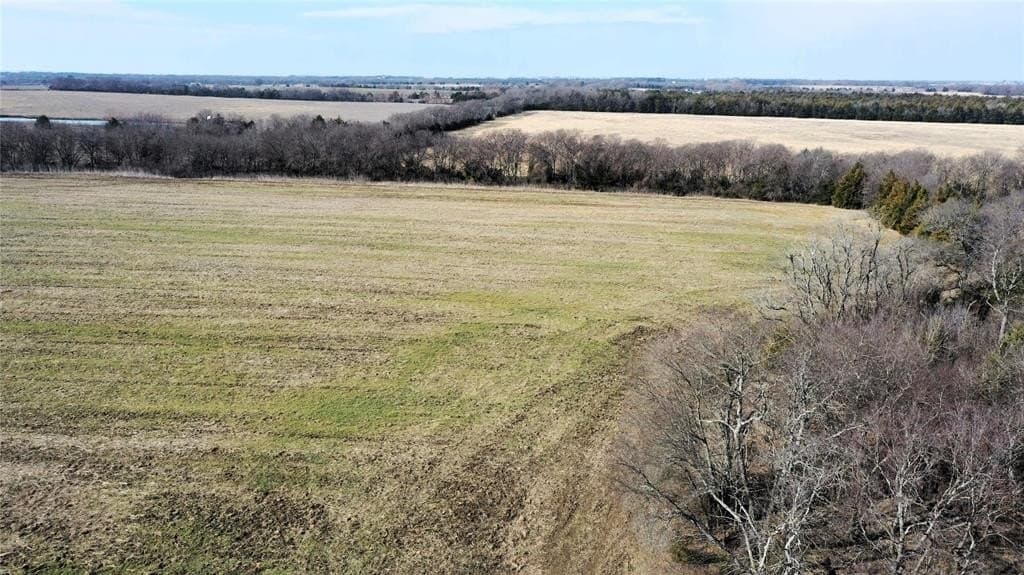 34 acres in Fannin County - photo 11