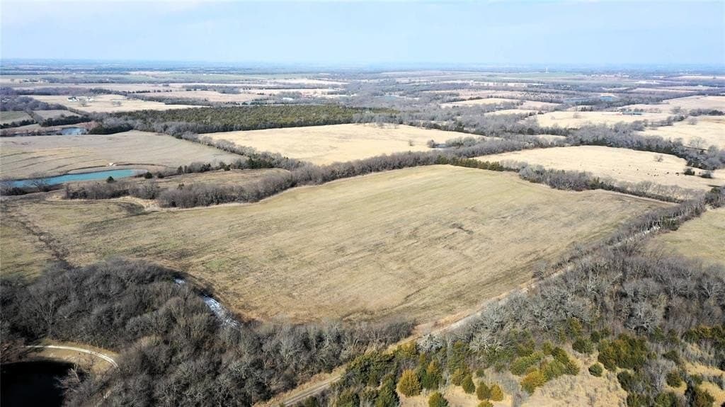 34 acres in Fannin County - photo 9