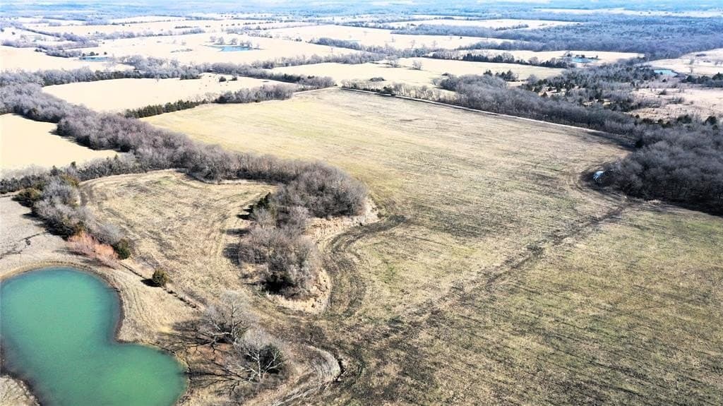 34 acres in Fannin County - photo 7
