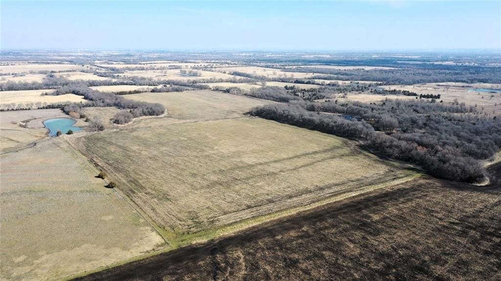 34 acres in Fannin County - photo 5