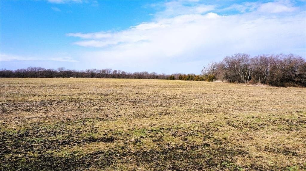 34 acres in Fannin County - photo 16