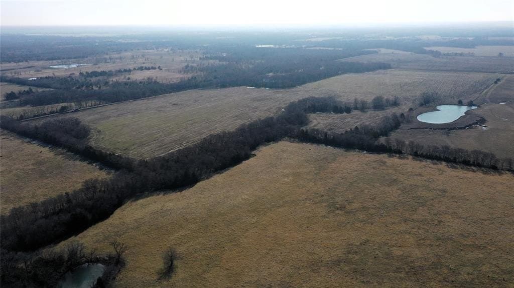 34 acres in Fannin County - photo 3