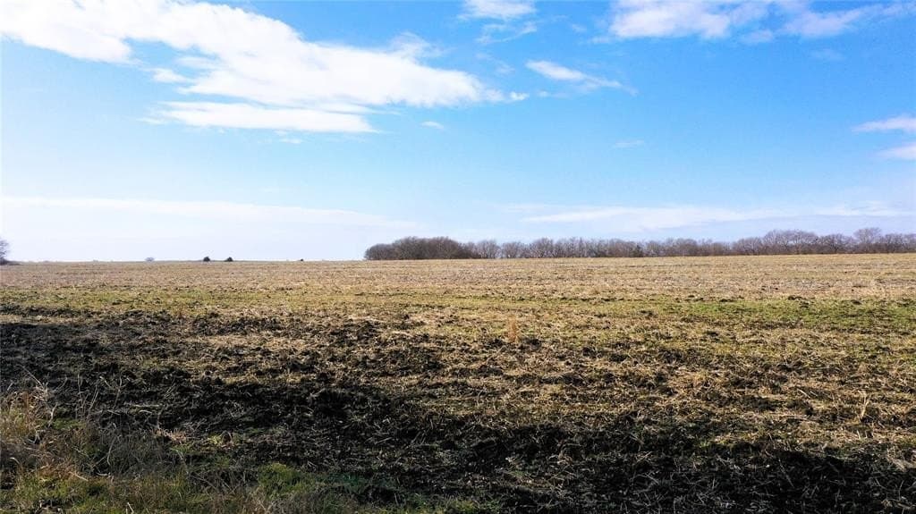 34 acres in Fannin County - photo 20