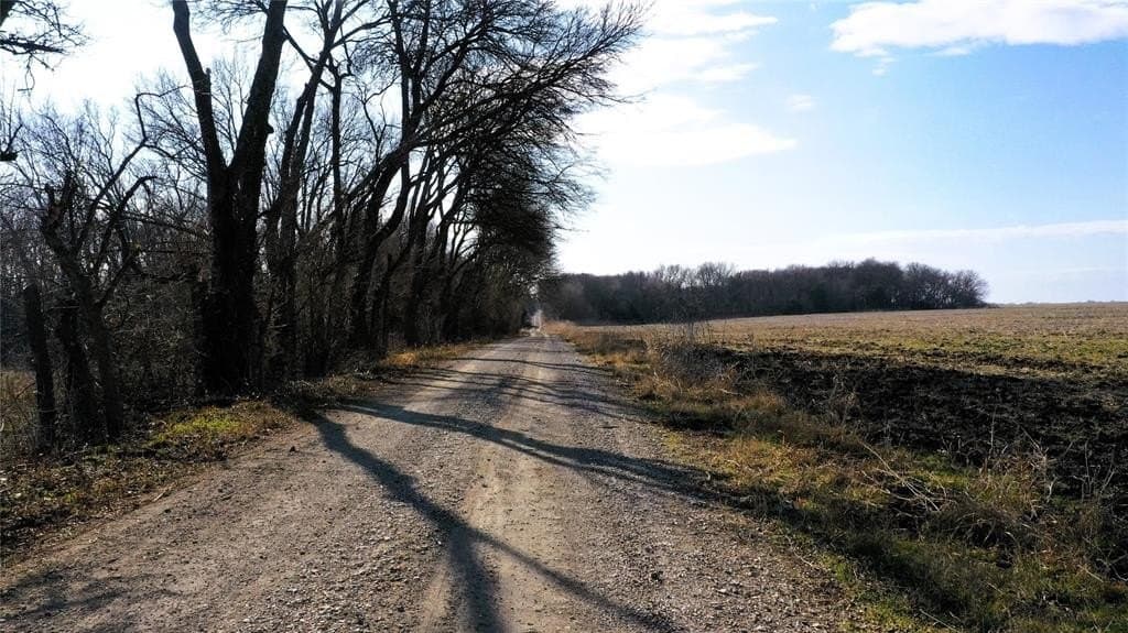 34 acres in Fannin County - photo 19