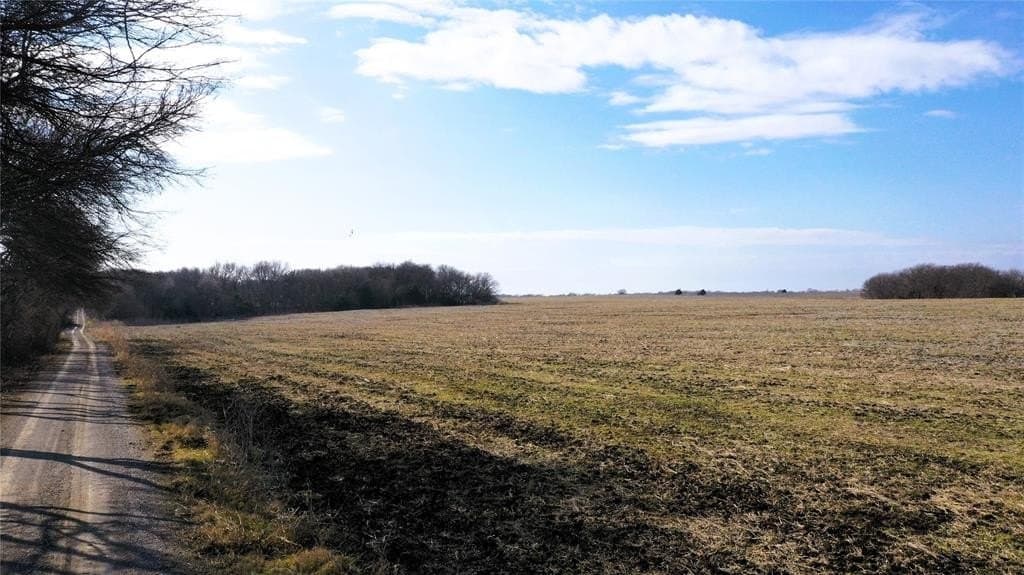 34 acres in Fannin County - photo 21
