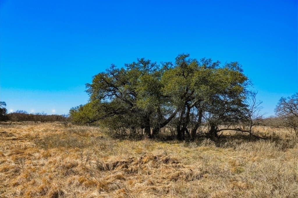 127 acres in Jack County - photo 32