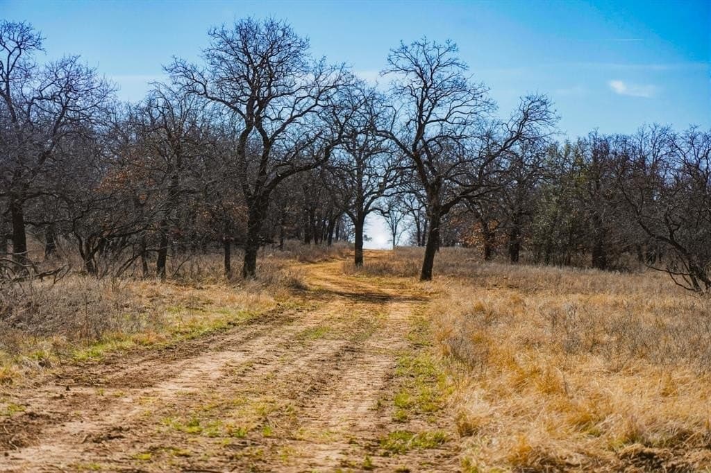127 acres in Jack County - photo 30