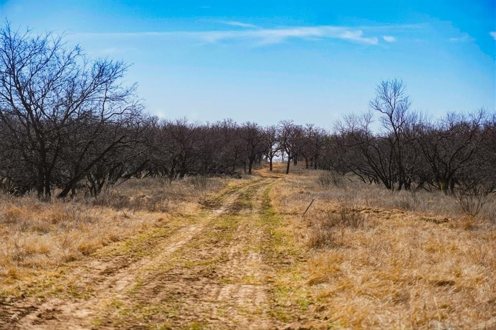 127 acres in Jack County - photo 28