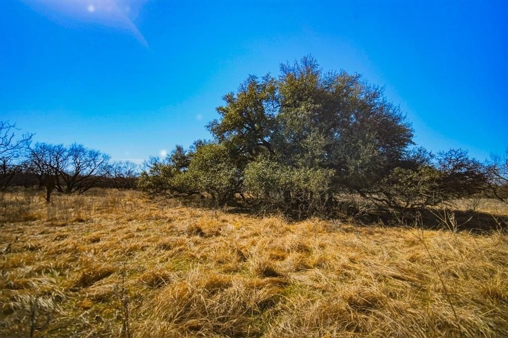 127 acres in Jack County - photo 24