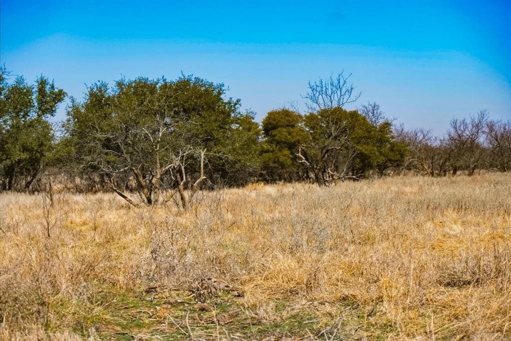 127 acres in Jack County - photo 29