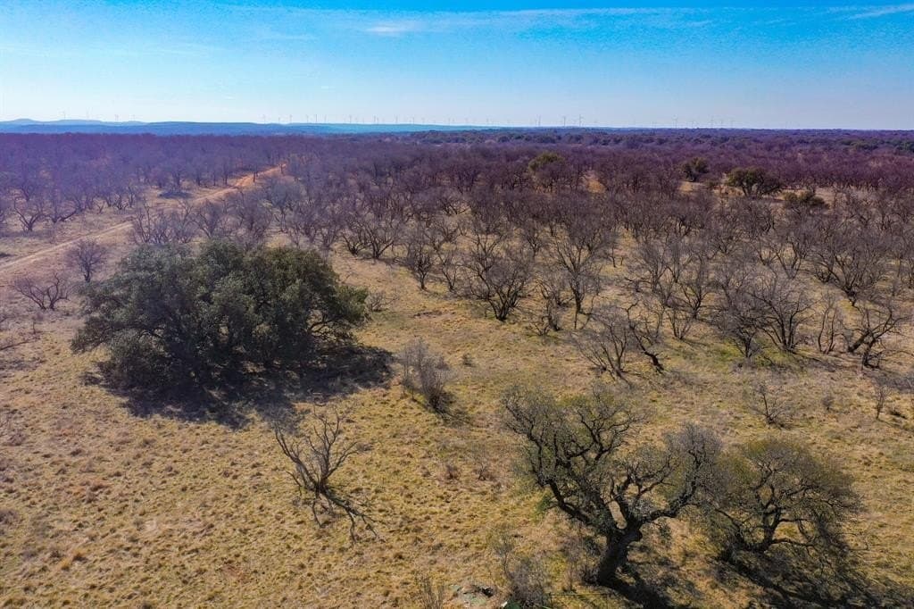 127 acres in Jack County - photo 10