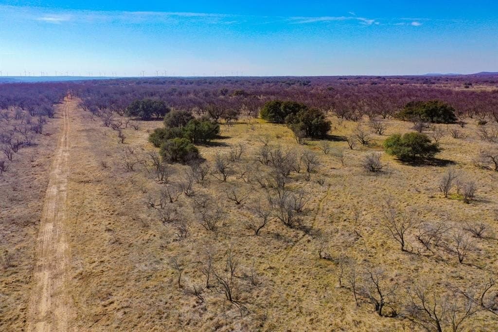 127 acres in Jack County - photo 9
