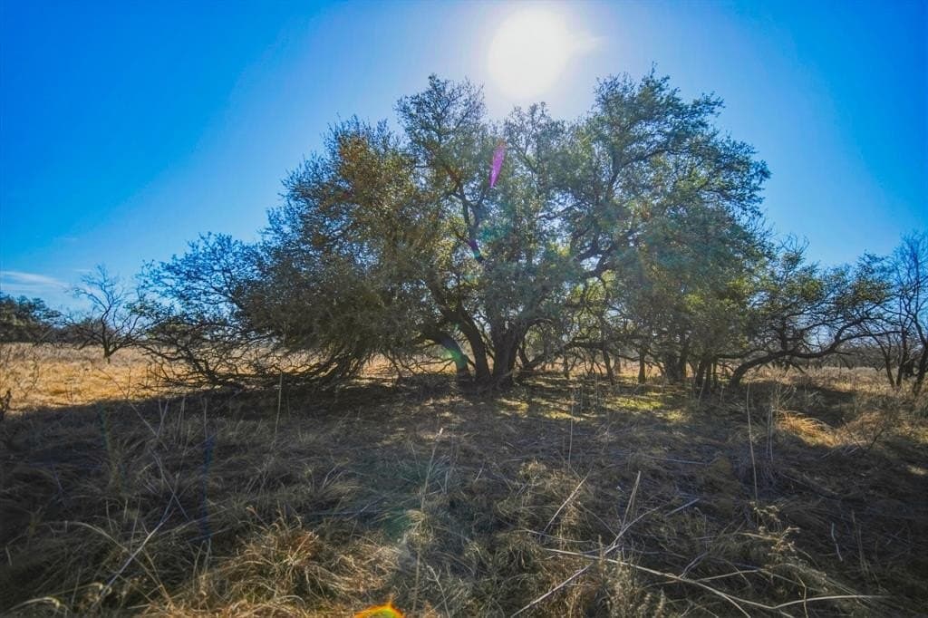 127 acres in Jack County - photo 2