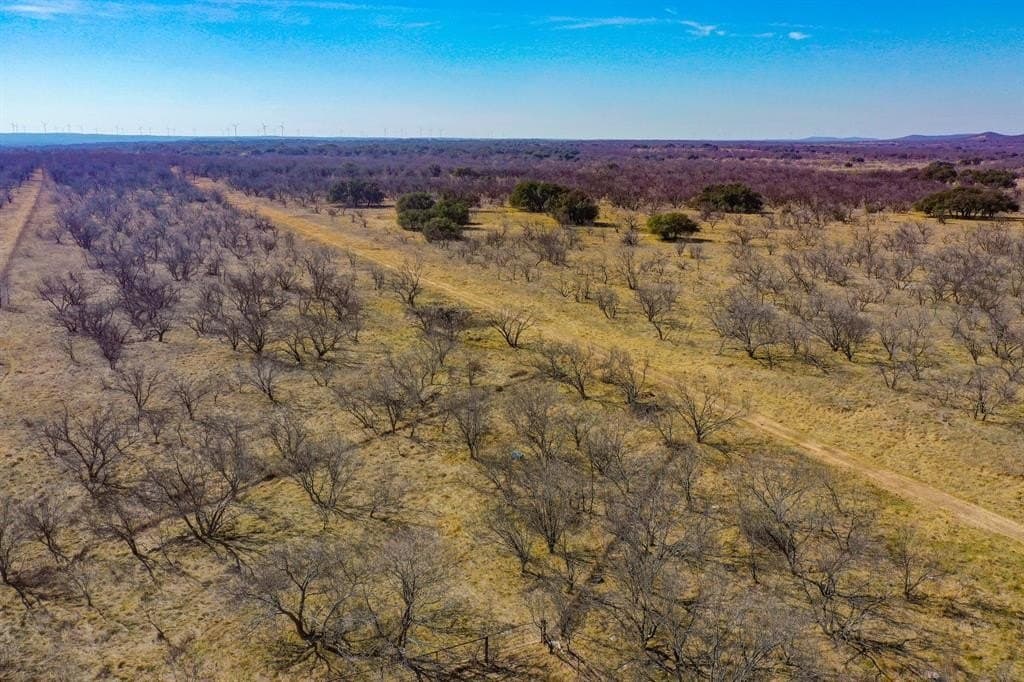 127 acres in Jack County - photo 8