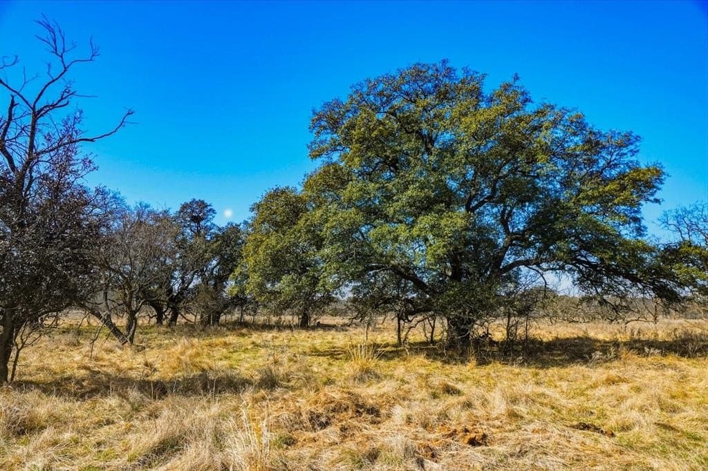 127 acres in Jack County - photo 23