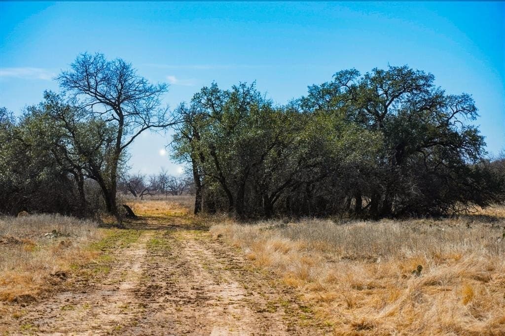 127 acres in Jack County - photo 34