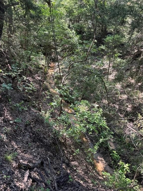 6.4 acres in Wise County - photo 9