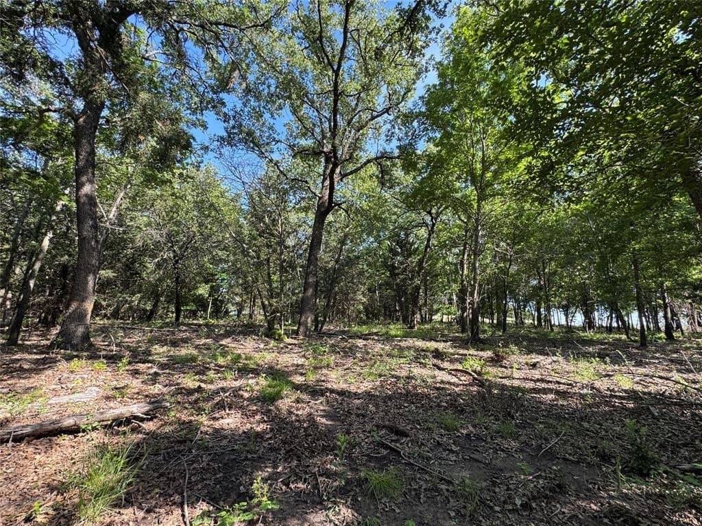 6.4 acres in Wise County - photo 5