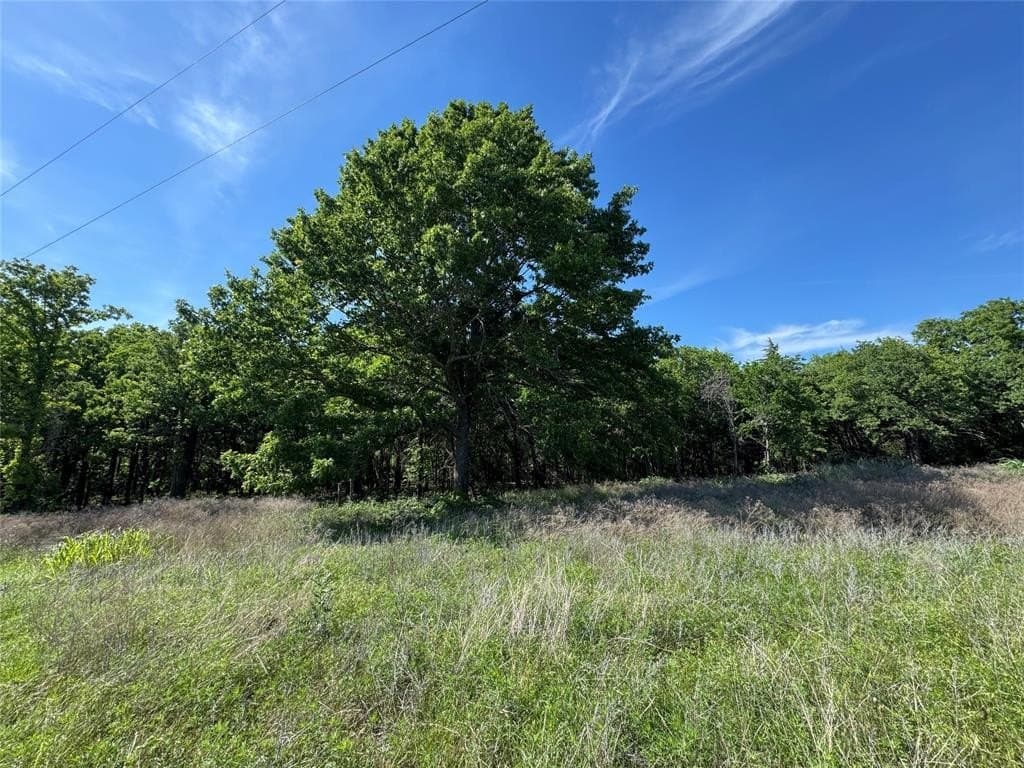 6.4 acres in Wise County - photo 8