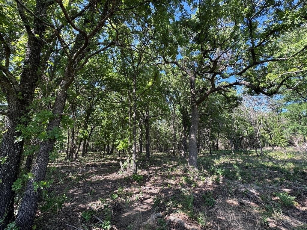 6.4 acres in Wise County - photo 10