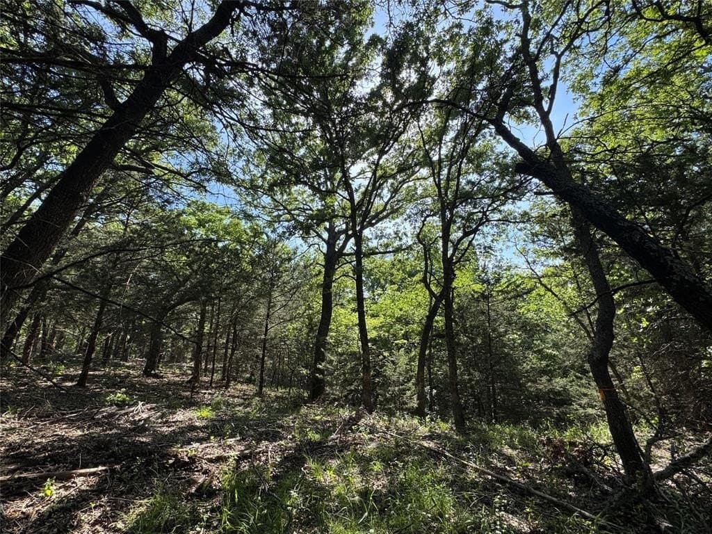 6.4 acres in Wise County - photo 4