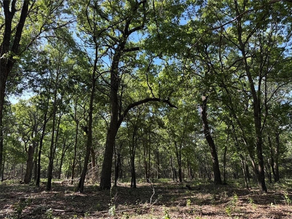 6.4 acres in Wise County - photo 7