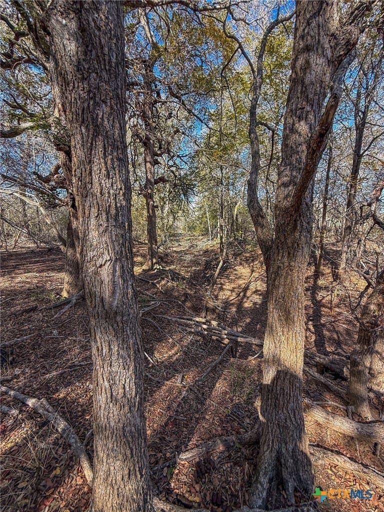 38.57 acres in Guadalupe County - photo 5