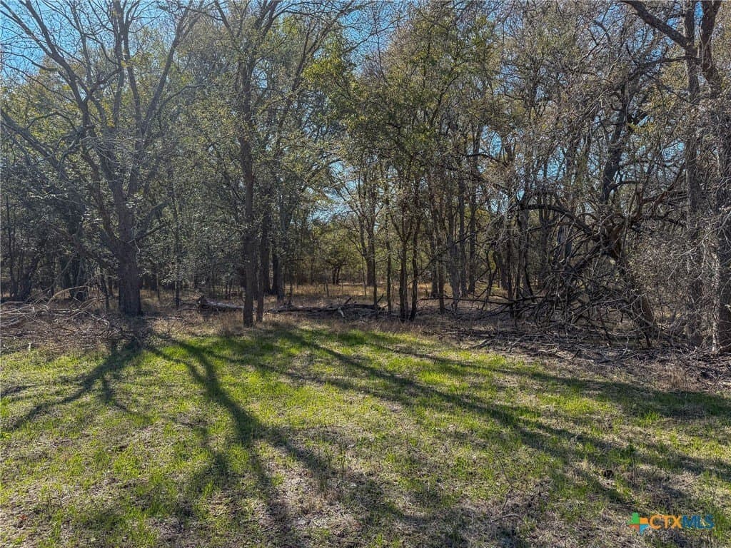 38.57 acres in Guadalupe County - photo 2
