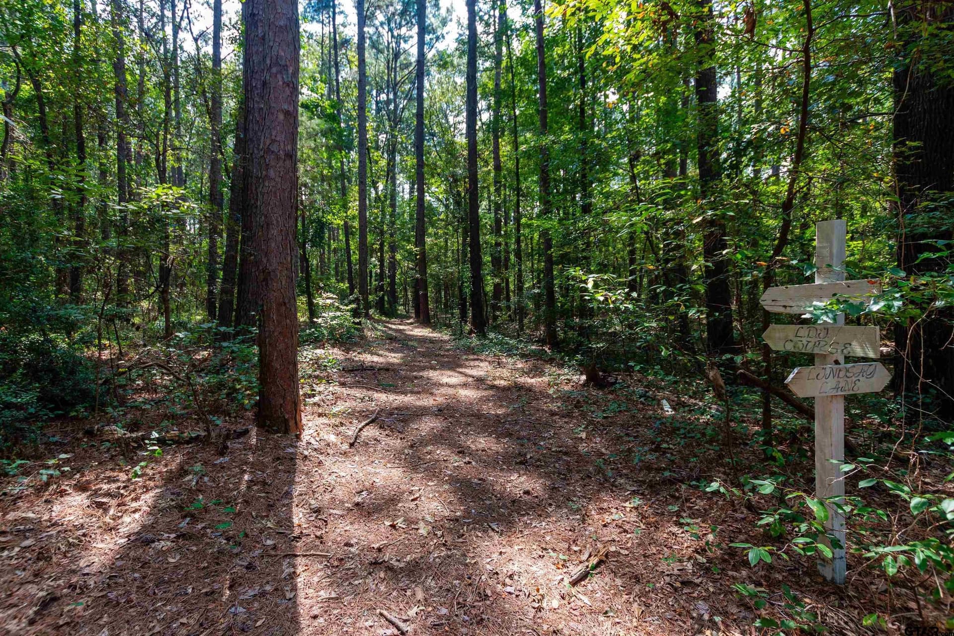 15.81 acres in Smith County - photo 42