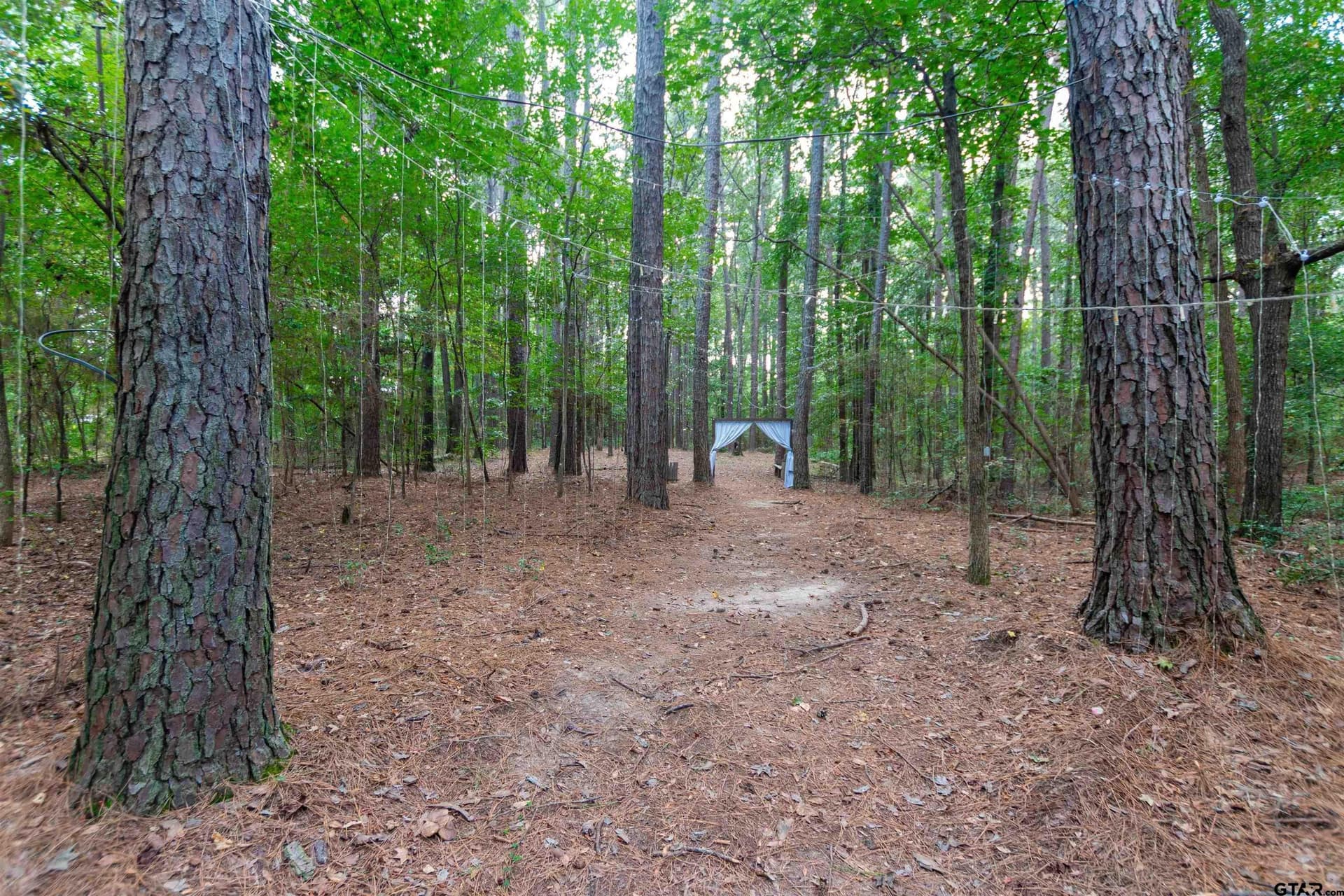 15.81 acres in Smith County - photo 44