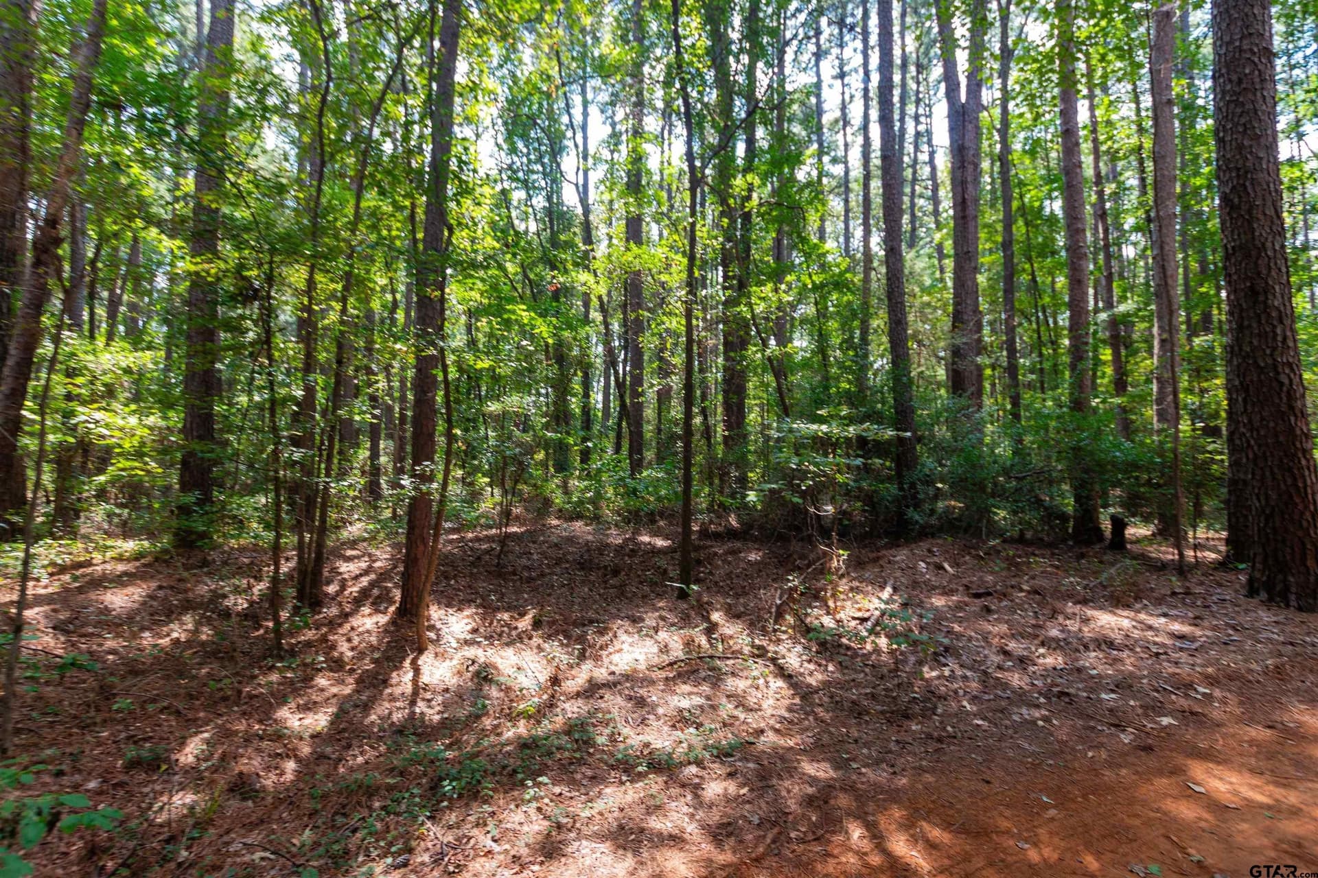 15.81 acres in Smith County - photo 41