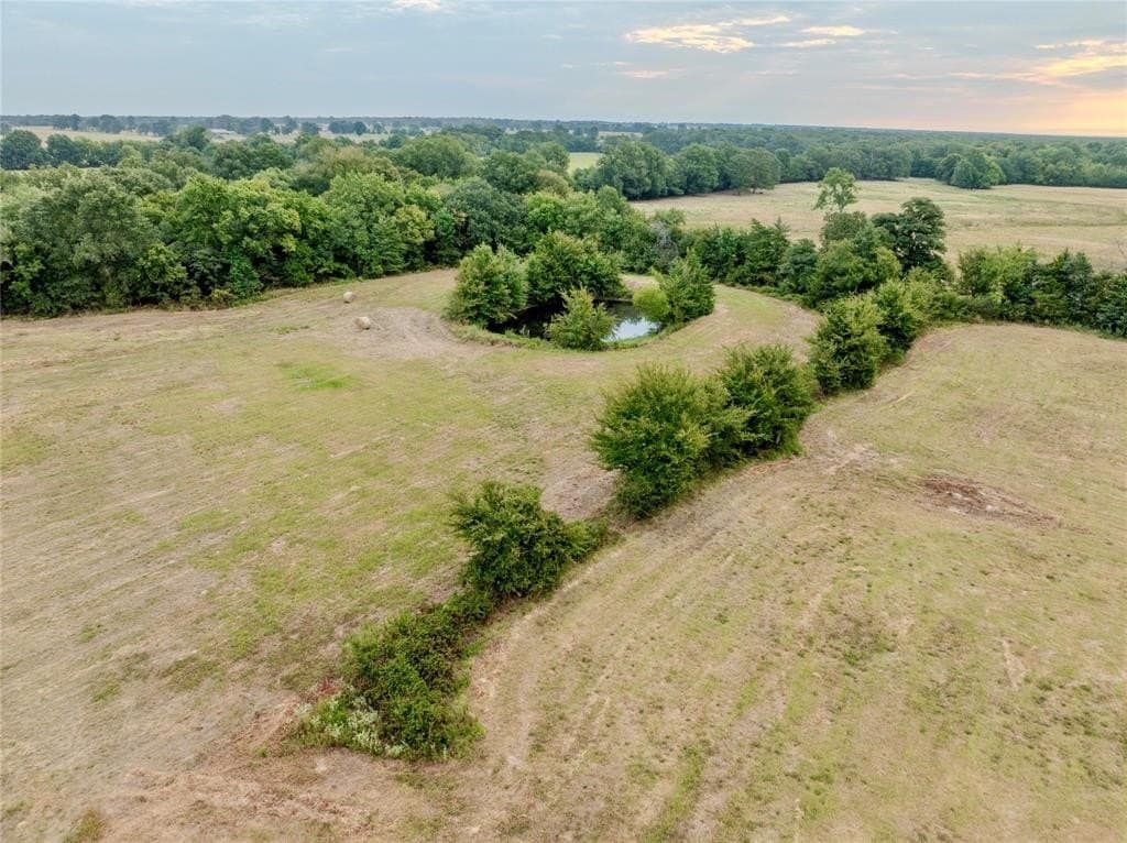 10.69 acres in Lamar County - photo 12