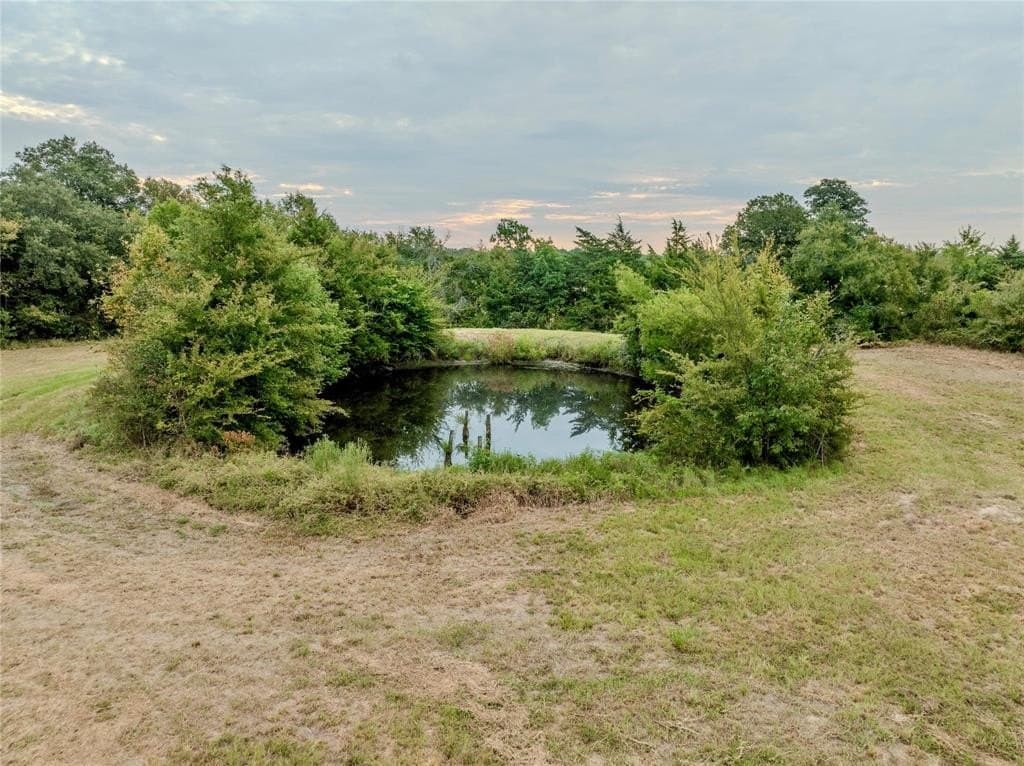 10.69 acres in Lamar County - photo 3
