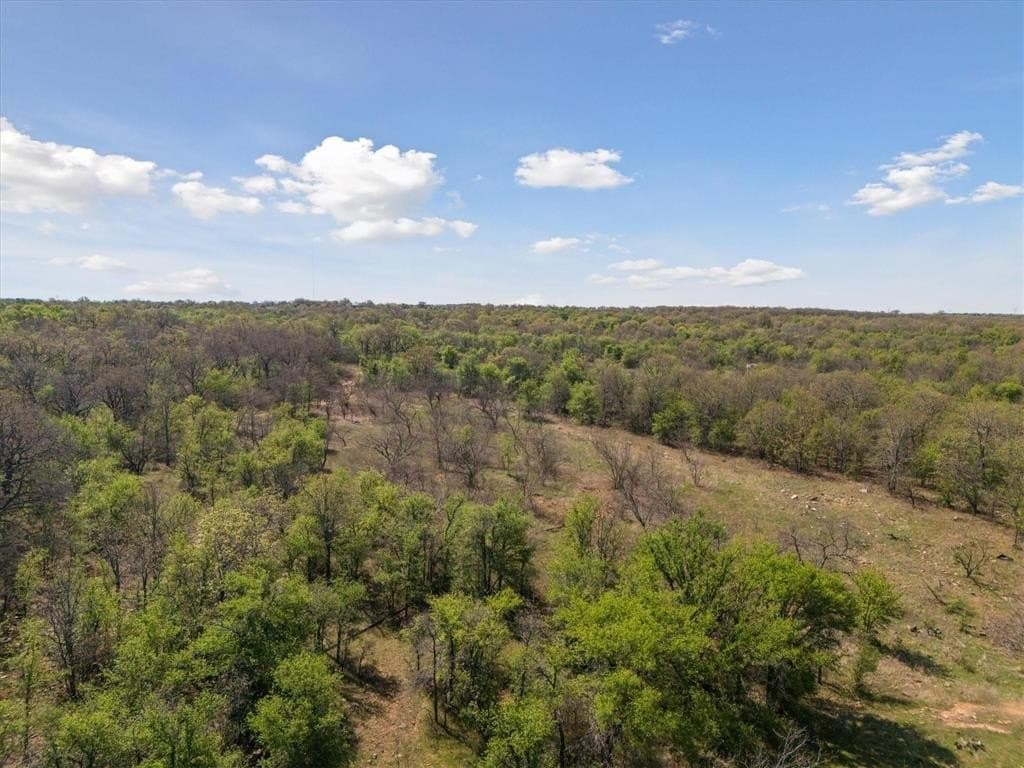 5 acres in Jack County - photo 10