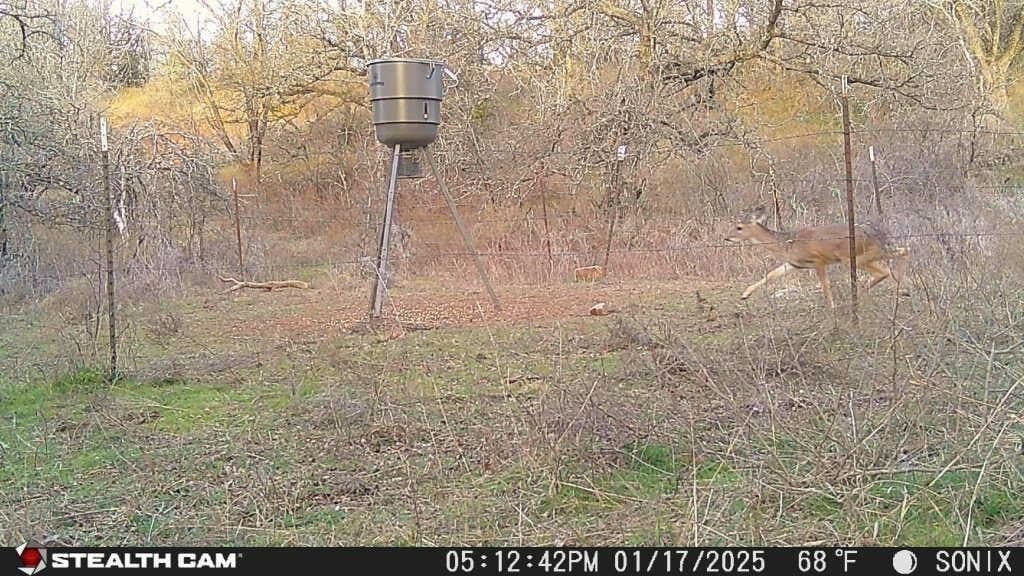5 acres in Jack County - photo 17