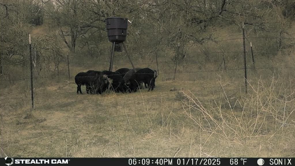 5 acres in Jack County - photo 19