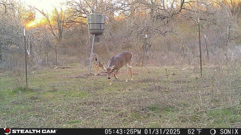 5 acres in Jack County - photo 15