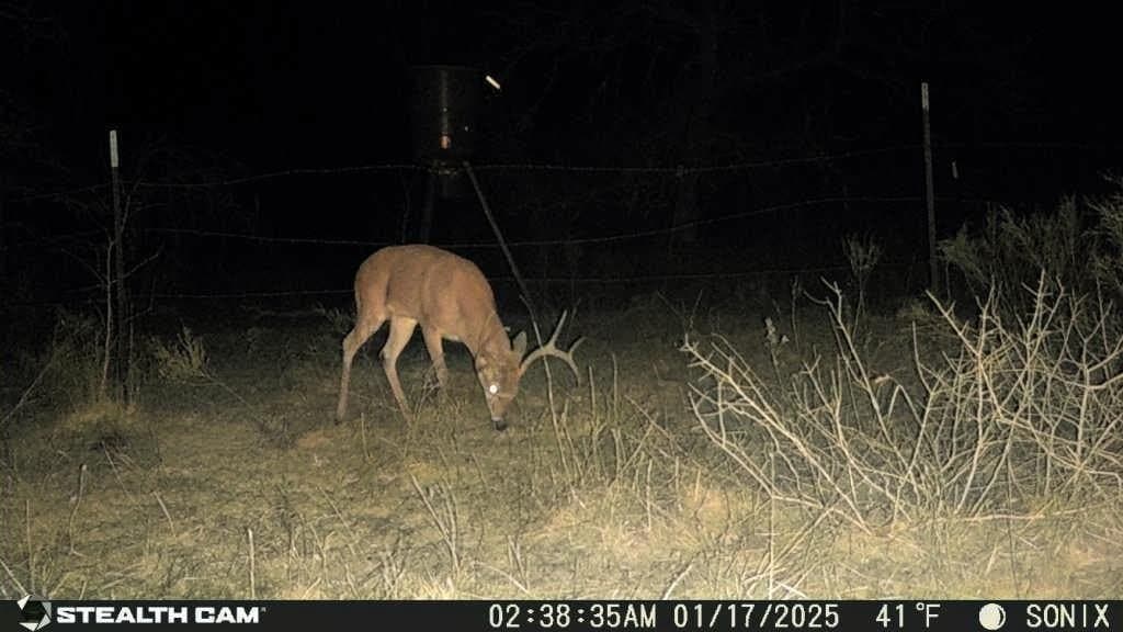 5 acres in Jack County - photo 20